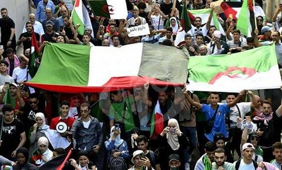 Les participants aux marches populaires affichent leur soutien à la position immuable de l'Etat algérien vis-à-vis de la cause palestinienne